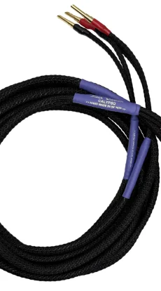 Black Rhodium Calypso speaker cable