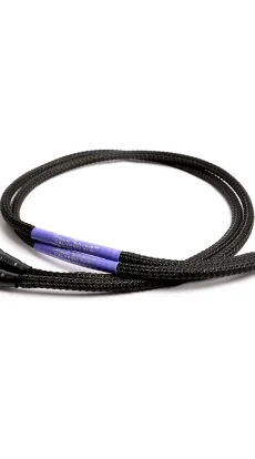 Black Rhodium Calypso XLR